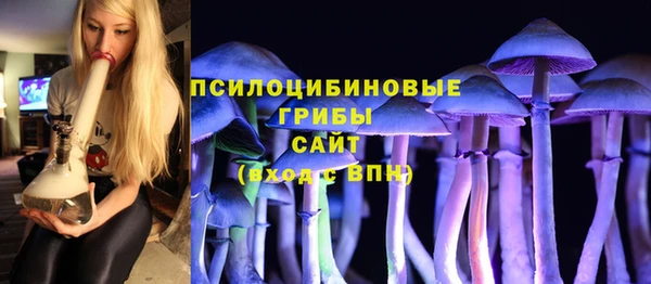 ГАЛЛЮЦИНОГЕННЫЕ ГРИБЫ Козельск